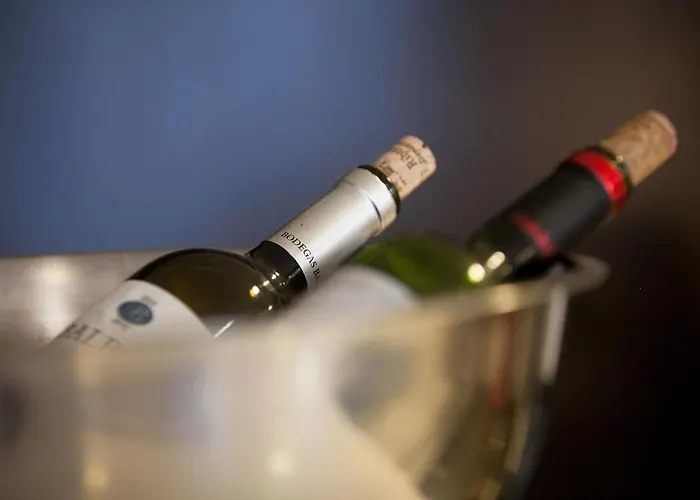 Hotel Universal By Maxi